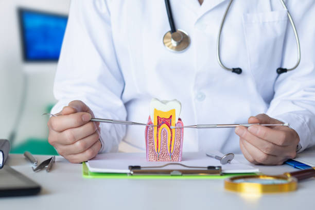 Best Emergency Orthodontic Repairs in Onalaska, WI